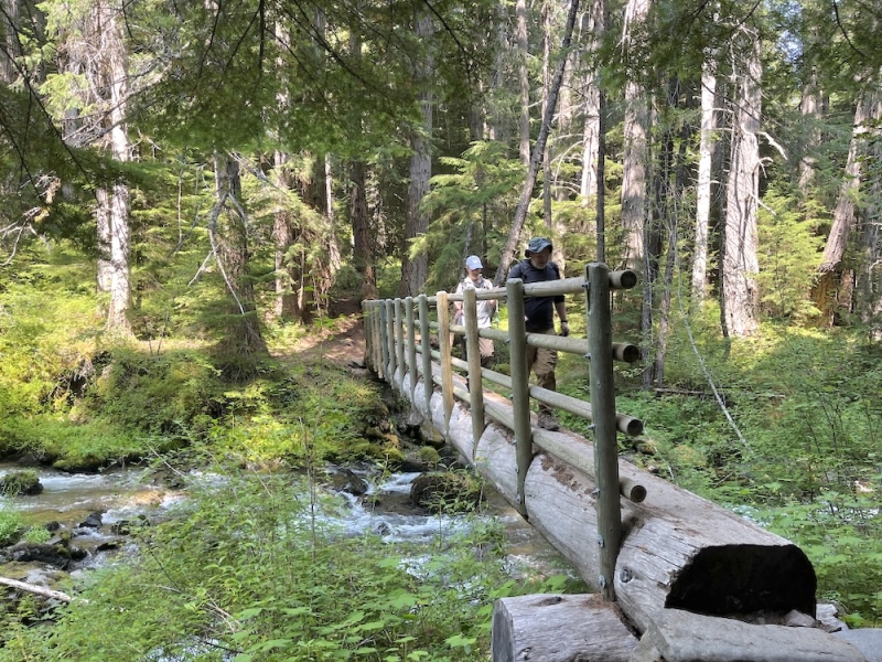 MichaelRickFootBridge.jpeg
