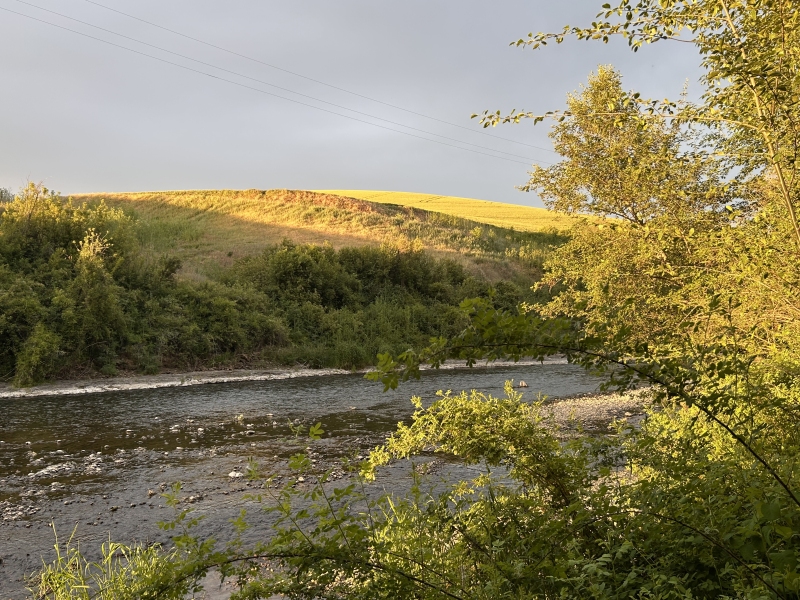 IMG_2260.jpeg